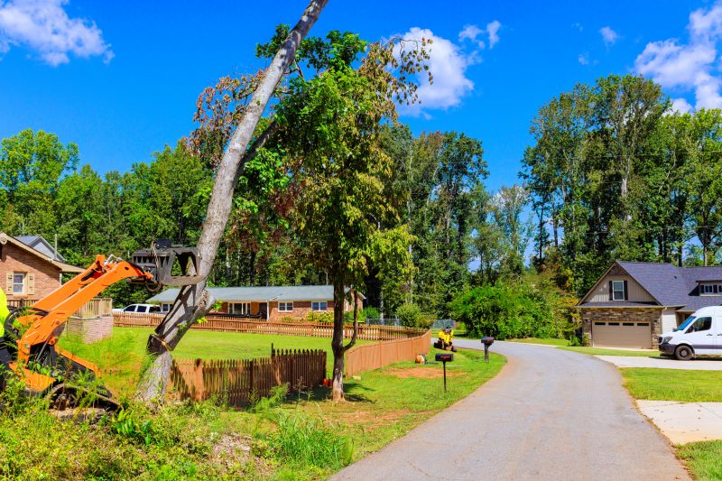 Wildlife Removal detail